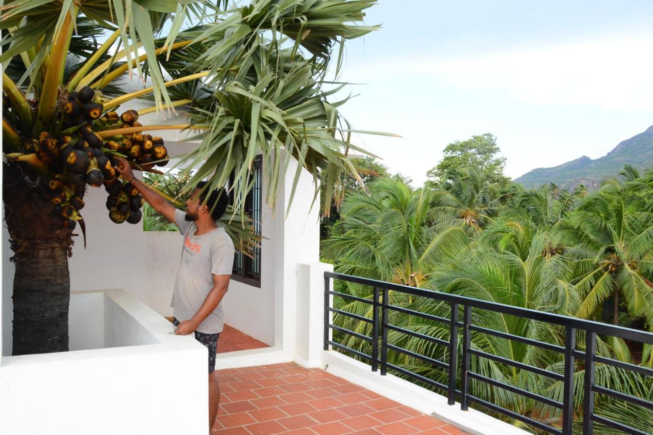 Claynest Resorts Kuttalam  Ngoại thất bức ảnh