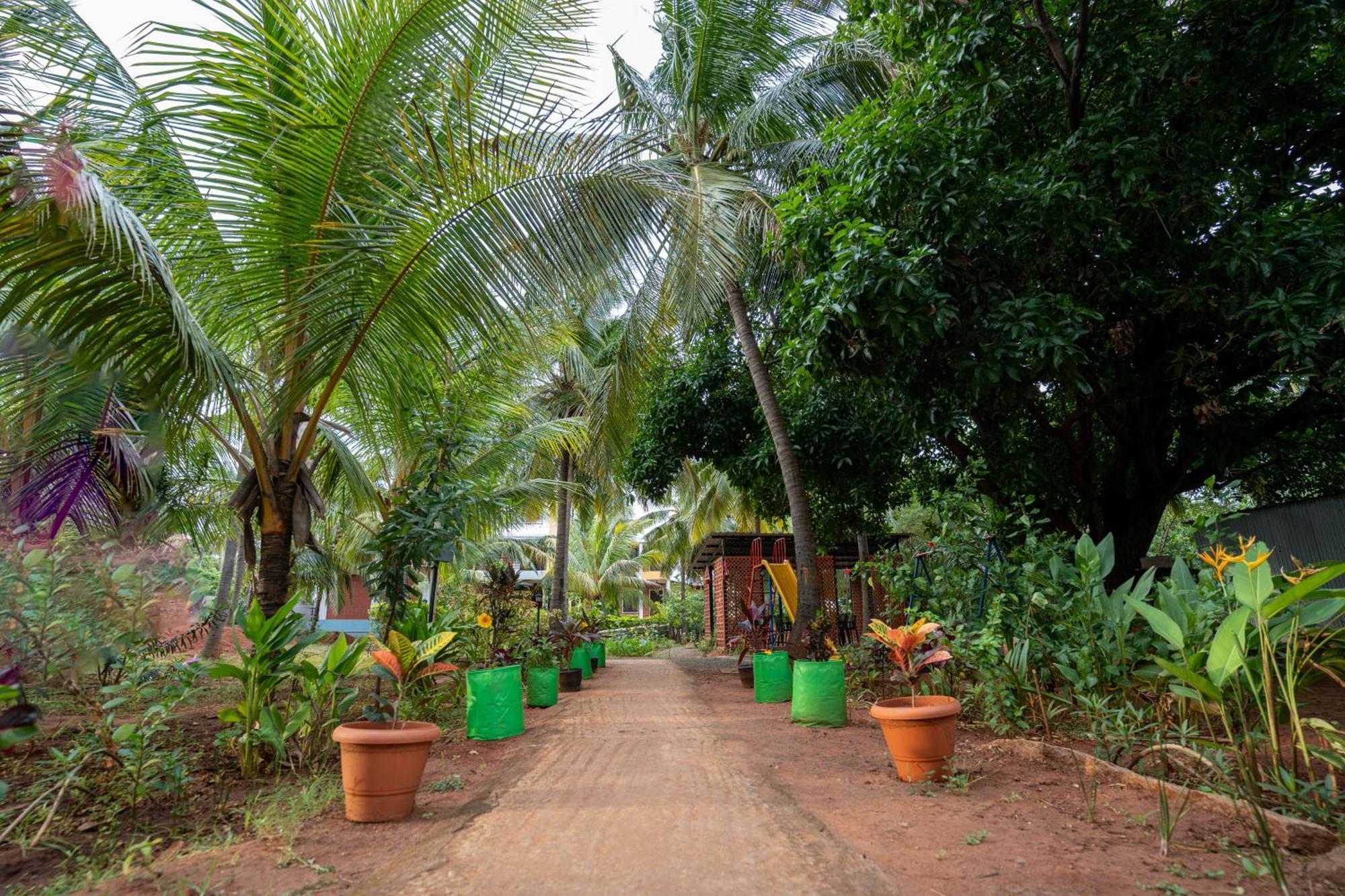 Claynest Resorts Kuttalam  Ngoại thất bức ảnh